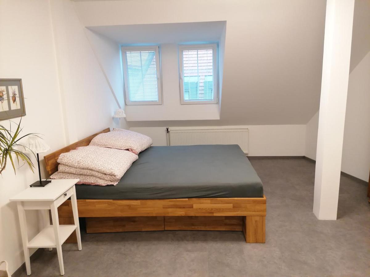 Apartman U Zoubku Daire Litomyšl Dış mekan fotoğraf