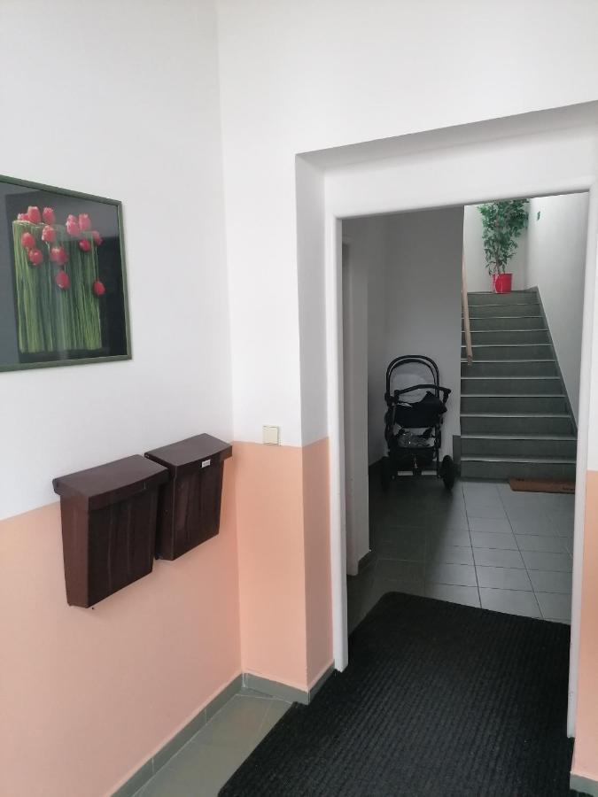 Apartman U Zoubku Daire Litomyšl Dış mekan fotoğraf